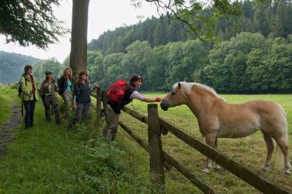 WestfalenWanderWeg